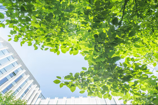 Reducing Greenhouse Gas Emissions in the Semiconductor Industry